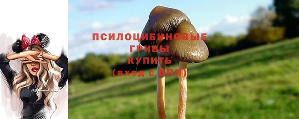 a pvp Абдулино