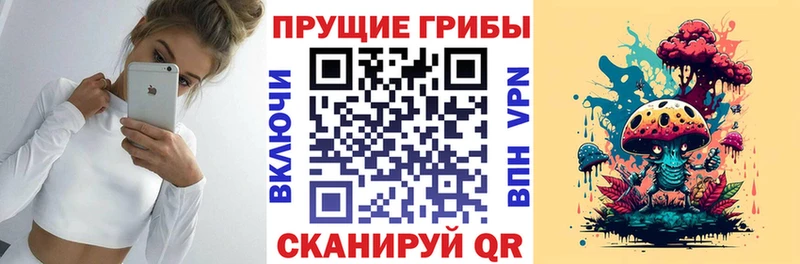 mega   Екатеринбург  Псилоцибиновые грибы мицелий 